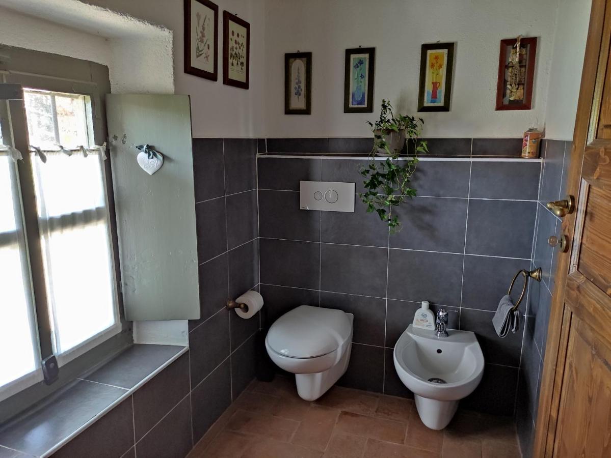B&B Il Salice Veruno Dış mekan fotoğraf
