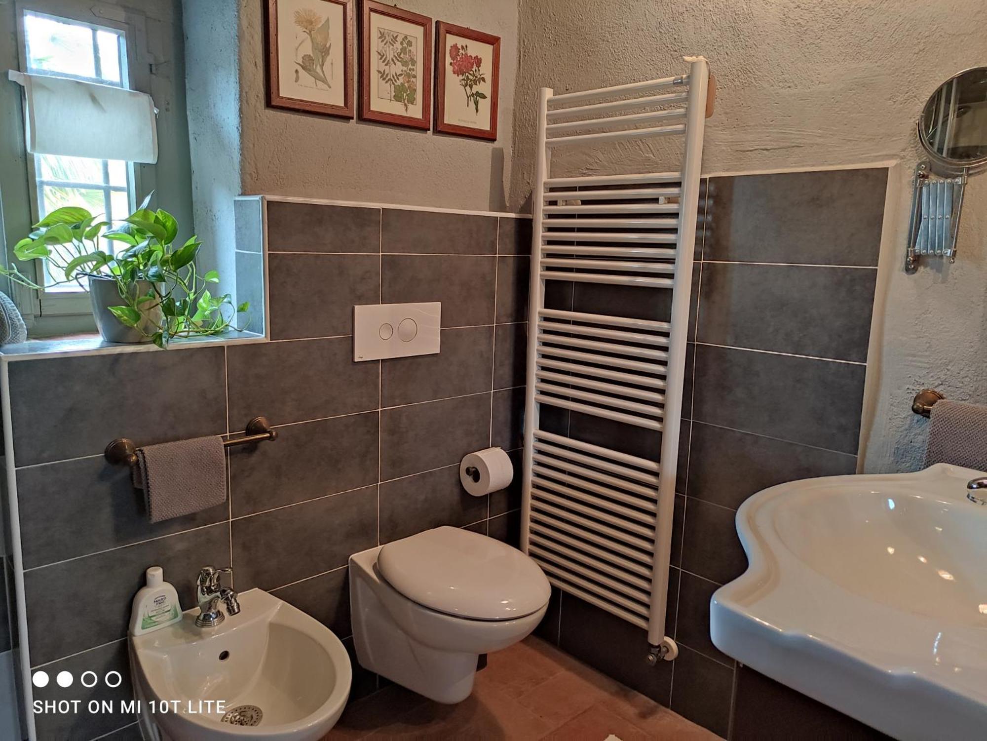 B&B Il Salice Veruno Dış mekan fotoğraf
