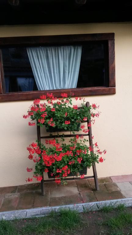 B&B Il Salice Veruno Dış mekan fotoğraf