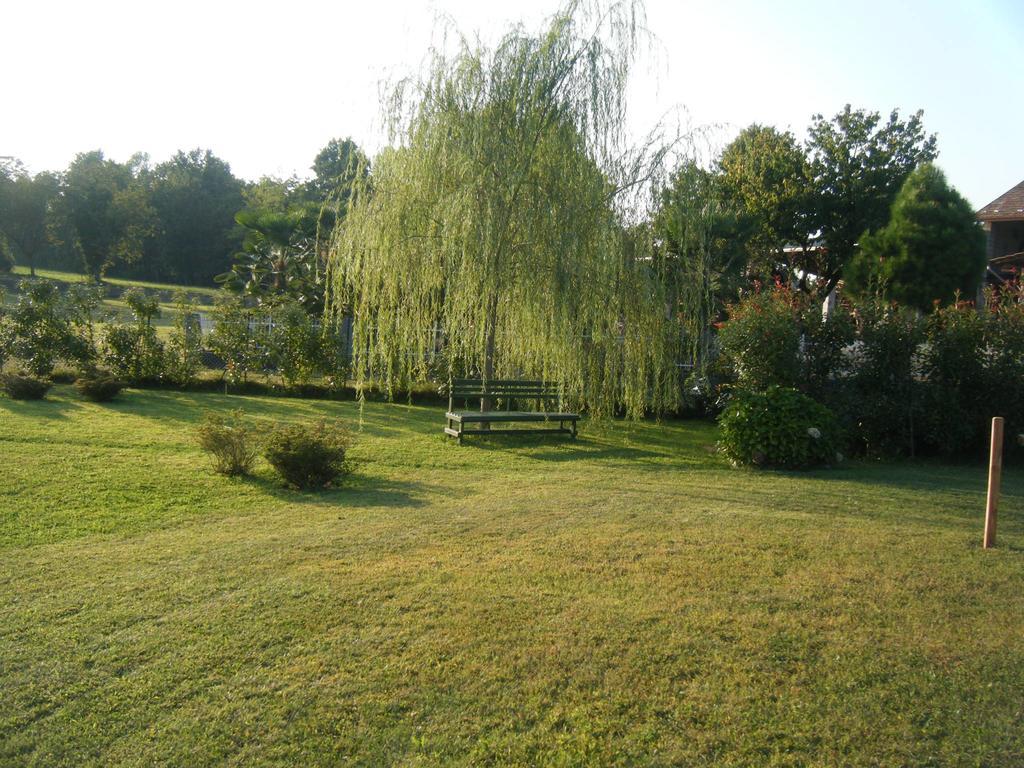 B&B Il Salice Veruno Dış mekan fotoğraf