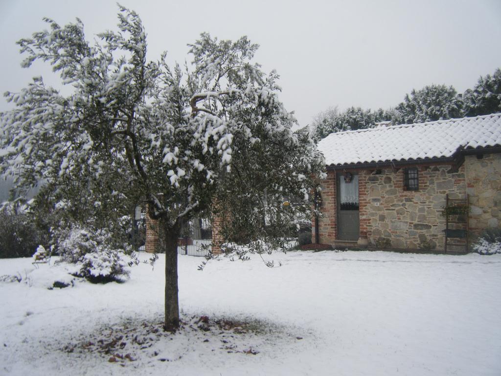 B&B Il Salice Veruno Dış mekan fotoğraf