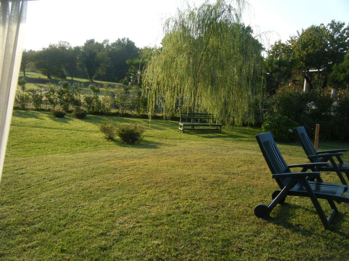B&B Il Salice Veruno Dış mekan fotoğraf